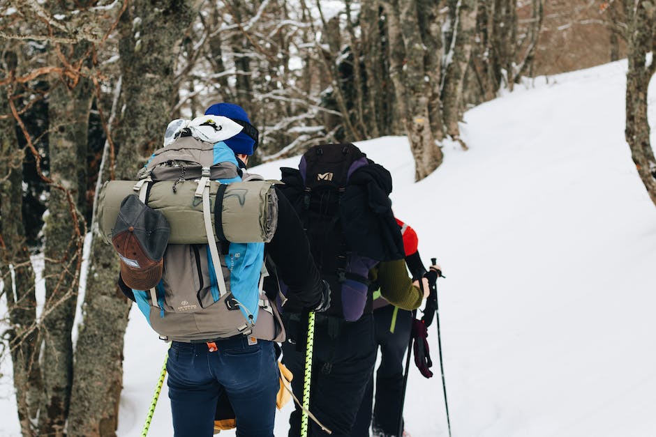 A picture of people participating in various winter activities in Canada